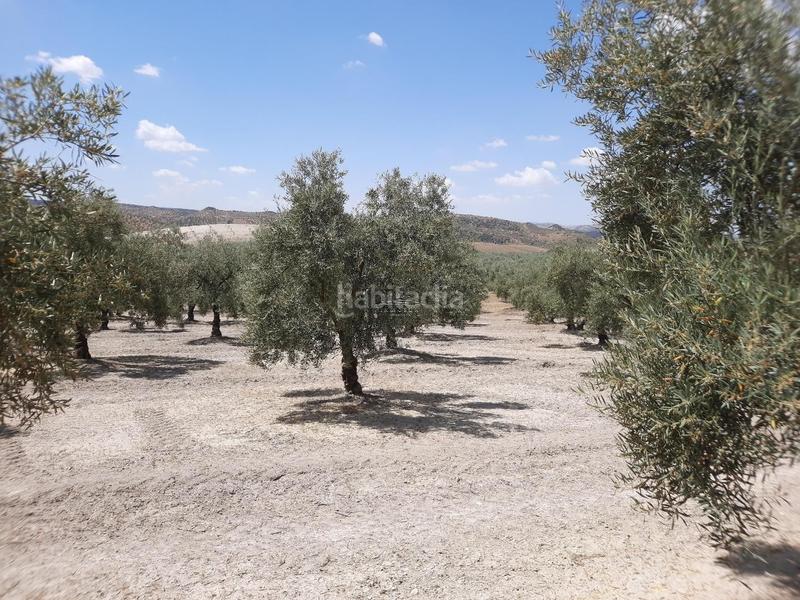 Foto 6ac08eae-5a38-49fe-8421-583d4e1b8ecf. Terreno residenziale in Jauja Lucena