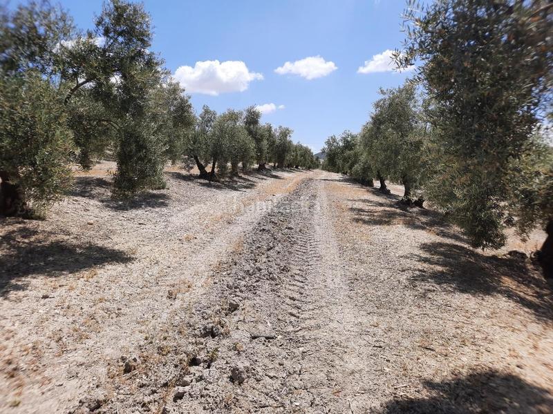 Foto aa6b8bf8-7587-48b1-859e-224e2b771259. Terreno residenziale in Jauja Lucena