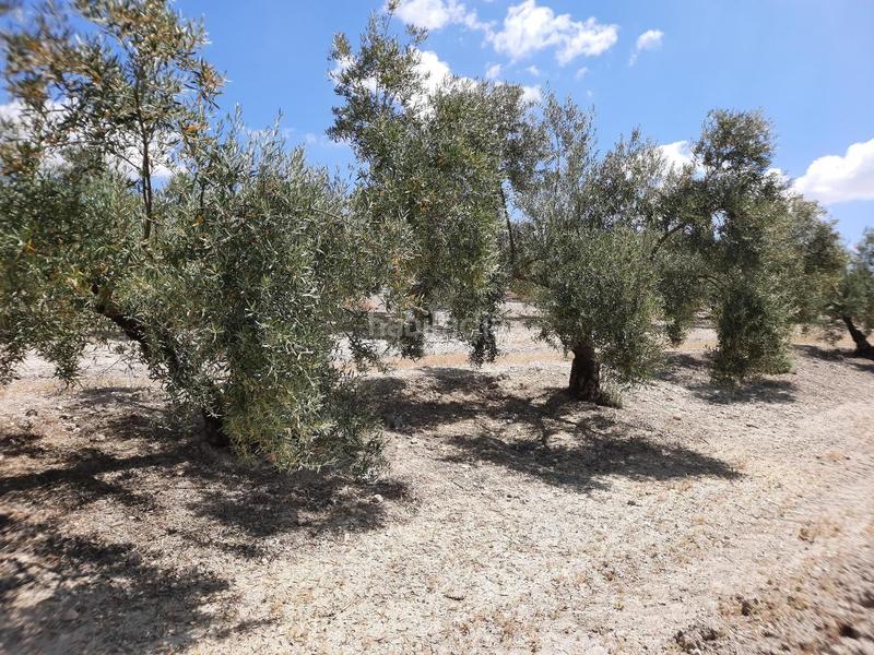 Foto d82bb1c0-081b-4717-b6bf-f81a90619604. Terreno residenziale in Jauja Lucena