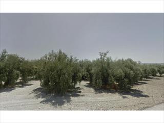 Terreno residenziale in San Francisco