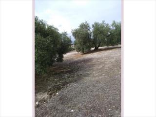 Residential Plot in Poleares