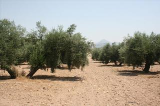 Terreno residenziale in Navas del Selpillar