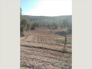 Terreny residencial a Cabra