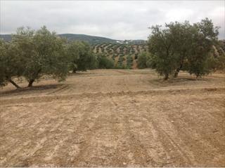 Residential Plot in Jauja