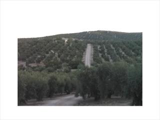 Residential Plot in Las Vegas - Campoaras
