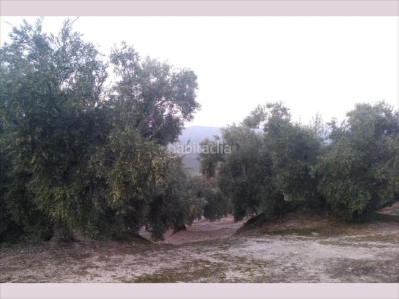Foto 00b3f14a-241d-41bb-8662-7f29847ed9ab. Terreny residencial a Cabra
