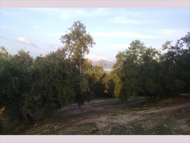 Foto 6b7da0ae-656f-4668-81bf-0635e8821e8c. Terreny residencial a Cabra