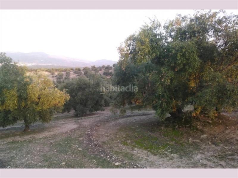 Foto db64d271-9f35-452a-afa9-a084a6c04de3. Terreny residencial a Cabra