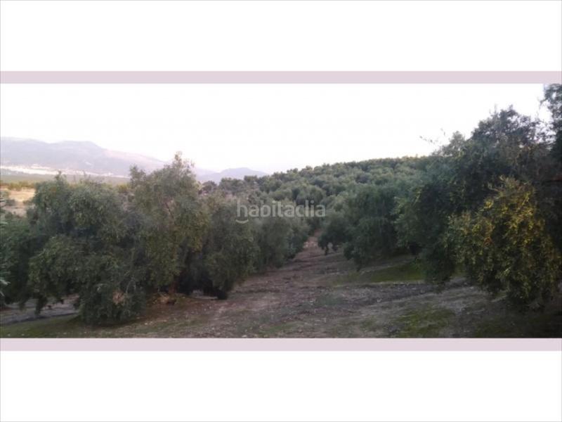 Foto e5159cb7-7d36-453b-9146-a53cdaaef455. Terreny residencial a Cabra
