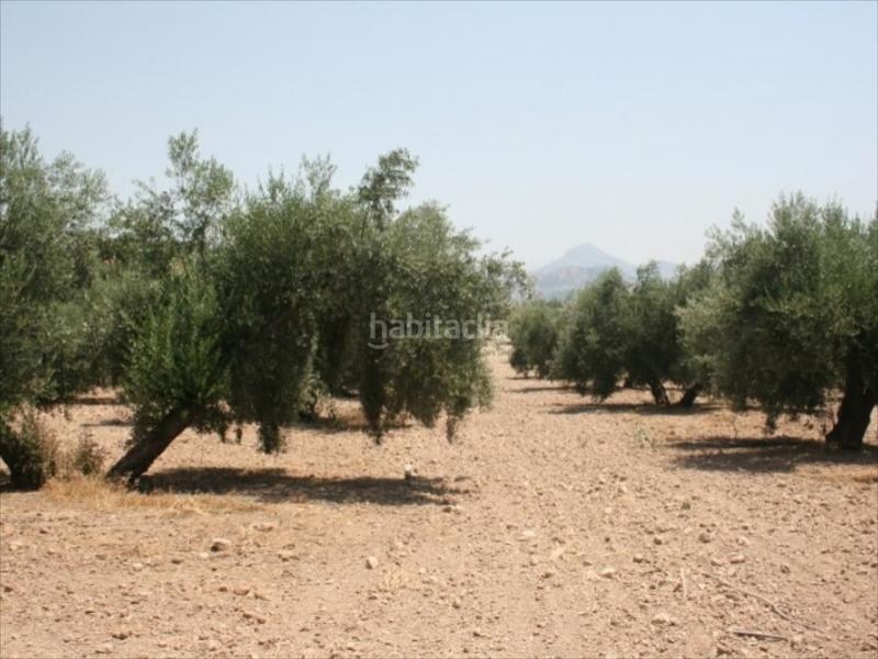 Foto 28ccae47-814c-42f2-8aaf-79ac367458ad. Terrain résidentiel dans Las Vegas - Campoaras Lucena