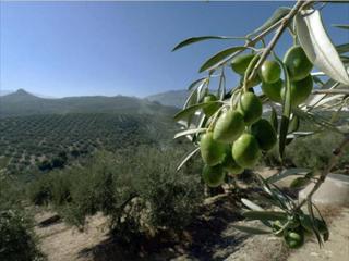 Terreno residenziale in Jauja