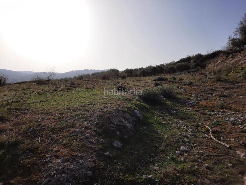 Foto 0e863ff1-9128-47ef-b884-306d444985c8. Terreno residenziale in San Francisco Lucena