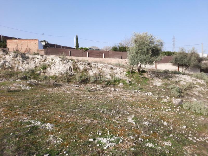 Foto 7ae22192-a9e7-4044-a582-ff4a9bc5fdb9. Terreno residenziale in San Francisco Lucena