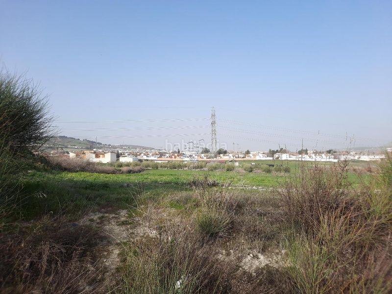 Foto 842f7d73-2b82-433d-8983-46c938617da6. Finca rústica a San Francisco Lucena