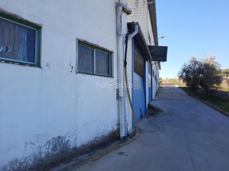 Foto 63373d65-73d6-4f26-8031-708a6b436a7a. Fabrikhalle in San Francisco Lucena