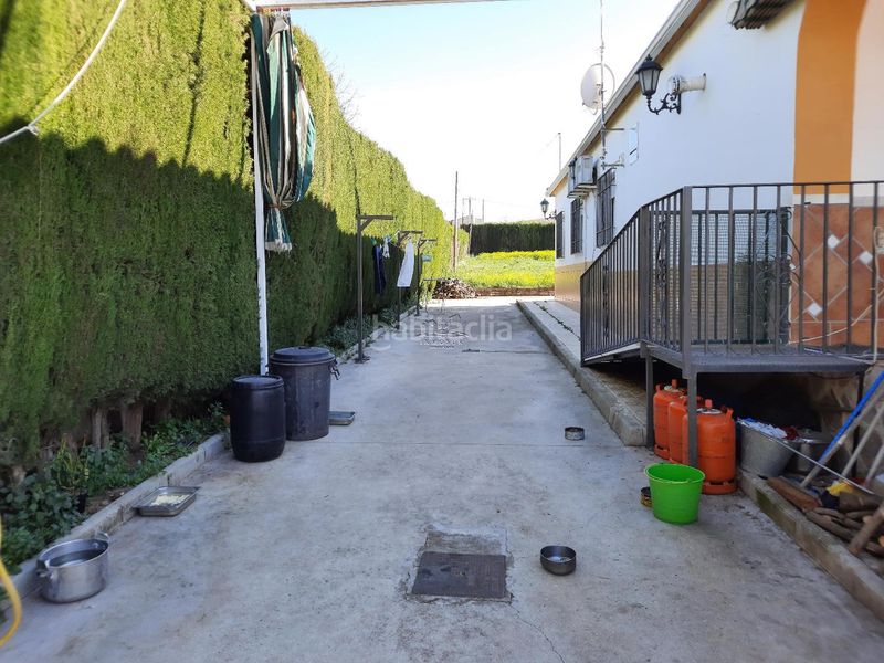 Foto 9aebb74d-b630-4e61-8c56-218e1796829d. Casa amb piscina a San Francisco Lucena