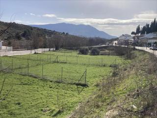 Terreny residencial a Rute