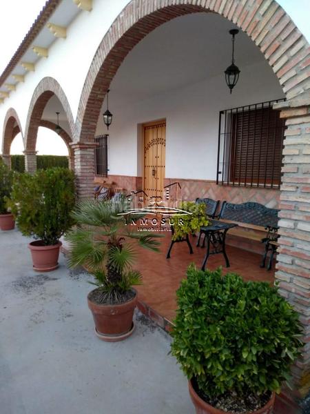 Foto 15f63294-0884-4660-9d56-3948c8184015. Casa amb piscina a San Francisco Lucena