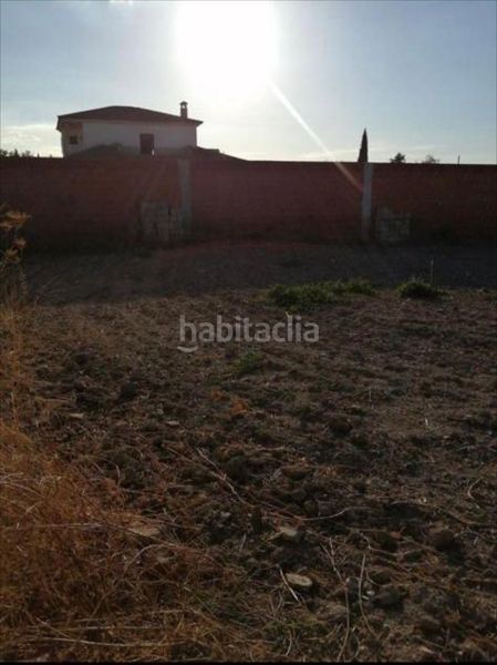 Foto 04296869-3936-49e5-a0ea-616f9f4c5165. Finca rústica a Moriles