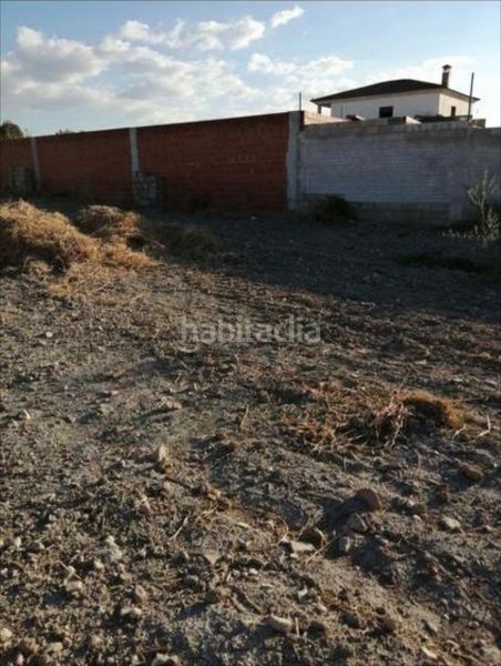 Foto 3344d531-6711-4276-ad99-7fff248985a1. Finca rústica a Moriles