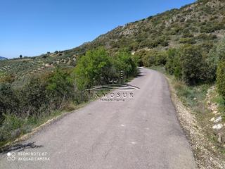 Terreny residencial a Iznájar
