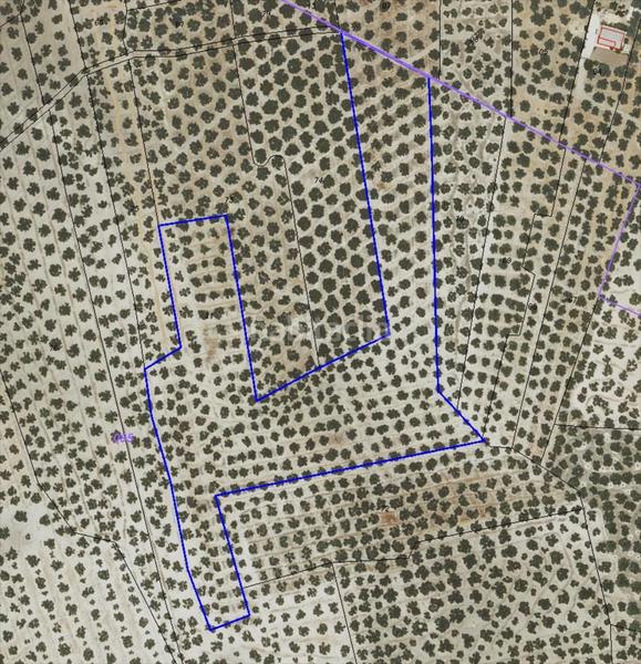 Foto 898b2ced-27f6-402c-8bcb-aab15f3a1a88. Wohngrundstück in Las Vegas - Campoaras Lucena