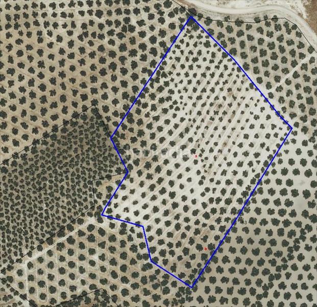 Foto 86403c2a-03f4-44e4-b67b-c514ccd8006a. Terreno residencial en Las Vegas - Campoaras Lucena