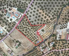 Casa a Poleares. Finca de olivar en camino del lucero con una superficie de 4.975