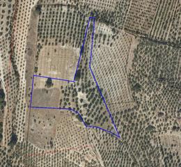 Terreno residencial en San Francisco. Finca de olivar en zona cortijo san josé. cuenta con una superfi