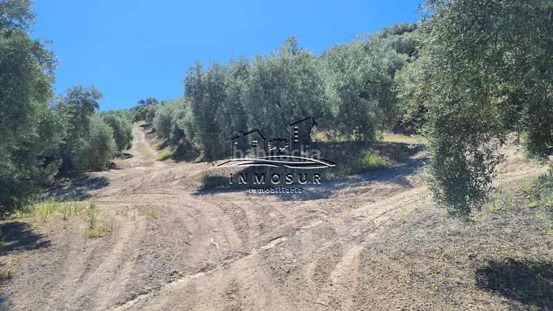 Foto be488fe1-3de2-49ef-80f2-aed3c1ae0e86. Landgut in San Francisco Lucena
