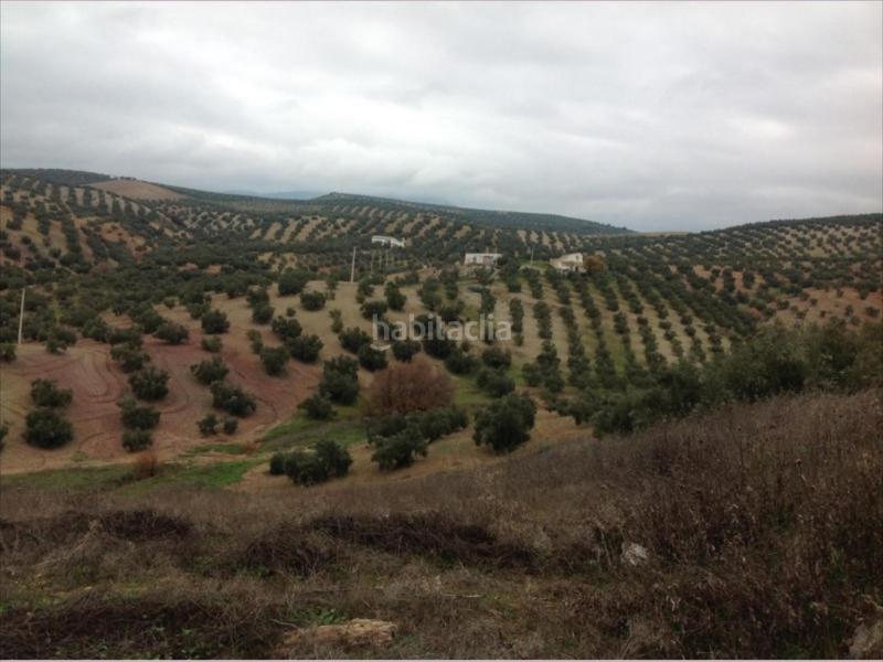 Foto 12360727-ceba-4d9b-afbf-accb08a01552. Propriété dans Las Vegas - Campoaras Lucena