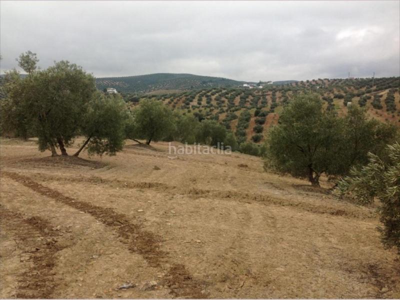 Foto 3ef24413-035c-4951-92d4-b19abab2fe57. Propriété dans Las Vegas - Campoaras Lucena