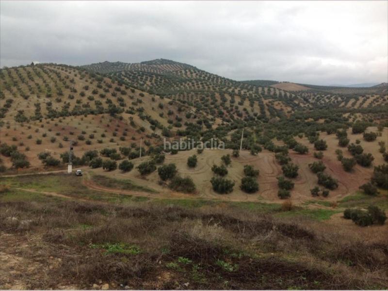 Foto 56447841-9832-48a3-828f-64c192e039bc. Propriété dans Las Vegas - Campoaras Lucena