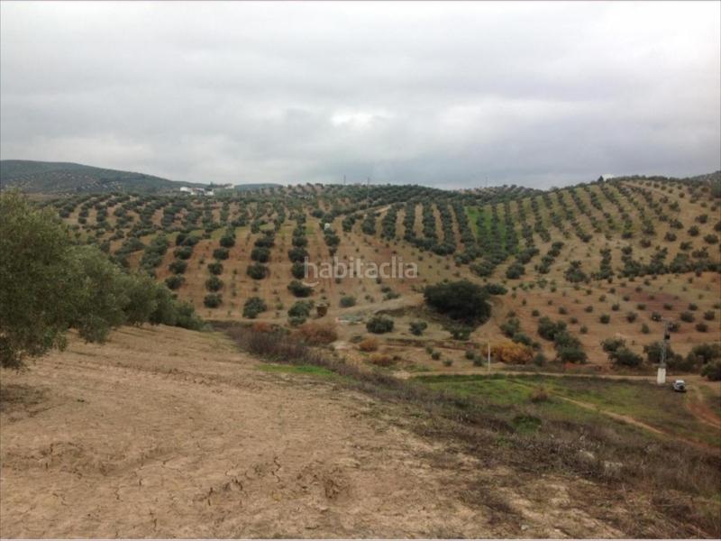 Foto 5916a06a-2c27-4ab2-b2f9-d5455ab4211c. Propriété dans Las Vegas - Campoaras Lucena