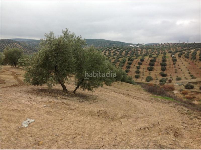 Foto 6bbc49ec-3814-4391-a7e0-89df0a9d83fa. Propriété dans Las Vegas - Campoaras Lucena