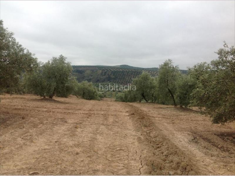 Foto 9ebdcfa2-e0bf-430f-ab13-56cf699098f3. Propriété dans Las Vegas - Campoaras Lucena