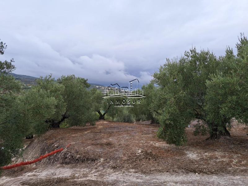 Foto 11a0d762-1135-4bcf-8892-205ff4f6acec. Wohngrundstück in Centro Lucena