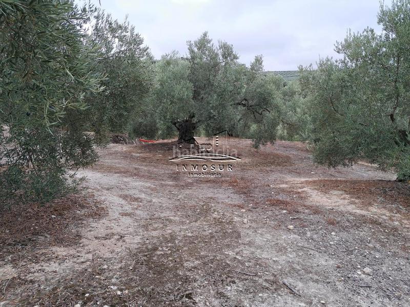 Foto 9501eda0-9b4c-4fce-bff8-7f120b0e3b74. Wohngrundstück in Centro Lucena