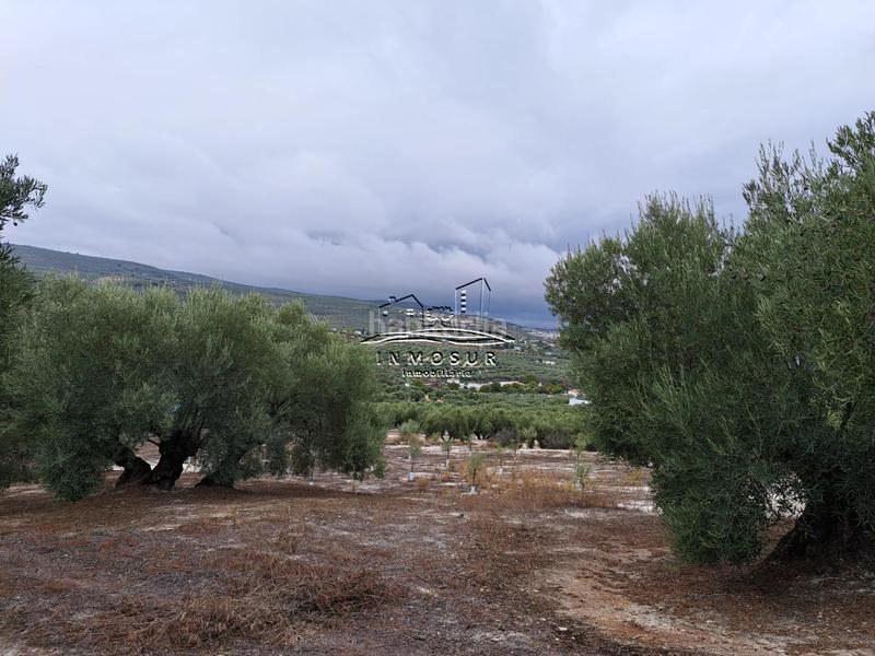 Foto d7d0145a-09cf-41d3-8aa2-d8ff26659f65. Wohngrundstück in Centro Lucena