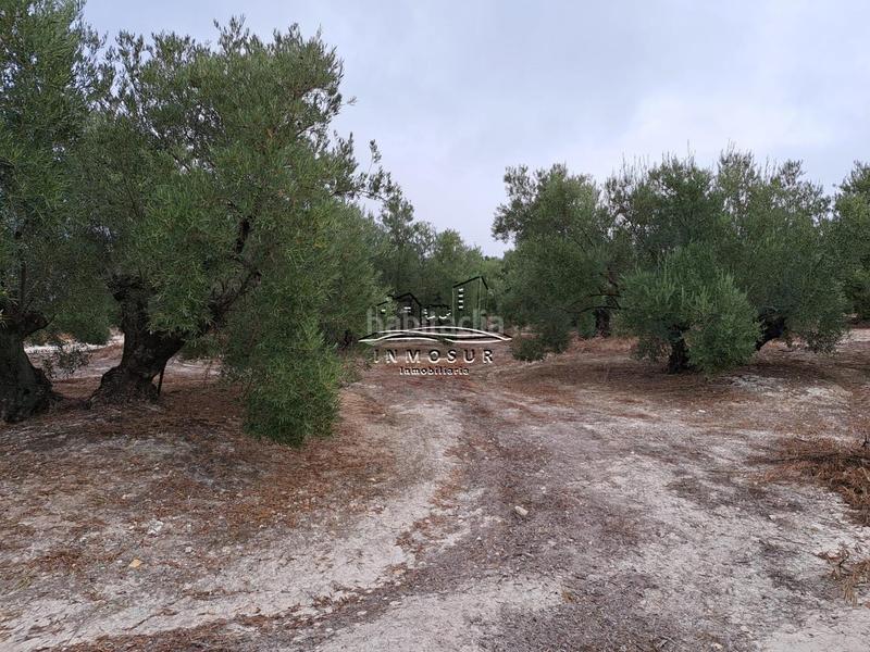 Foto d8ad8441-1366-4d7b-ad47-3569d85d8ef1. Wohngrundstück in Centro Lucena