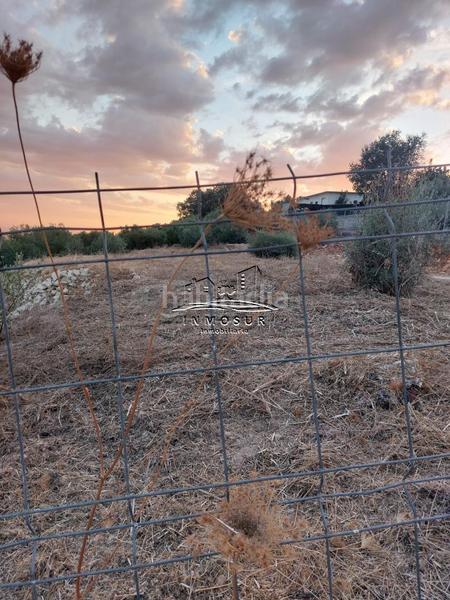 Foto e05da12a-58ea-4f13-9f6b-f8808c17e0b8. Terrain résidentiel dans San Francisco Lucena