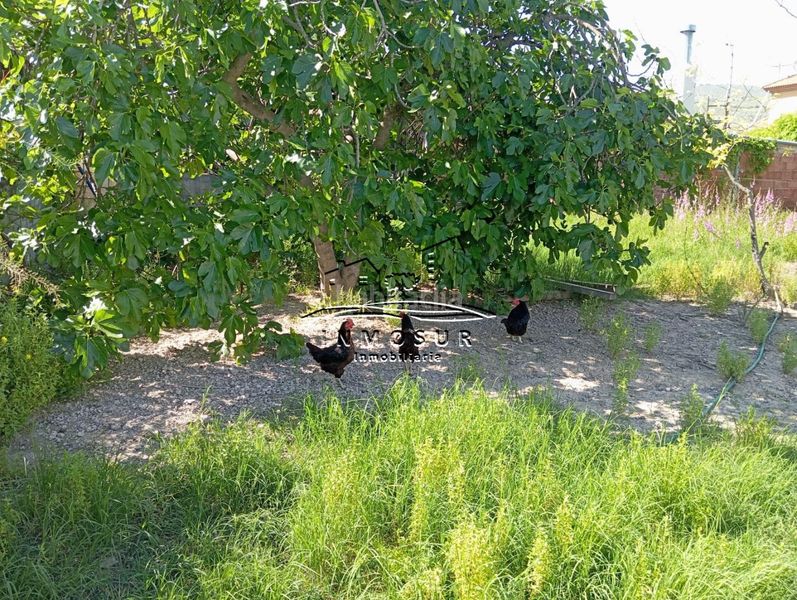 Foto 0f9f4a58-9711-4463-8200-4a43e9979cce. Finca rústica a Centro Lucena