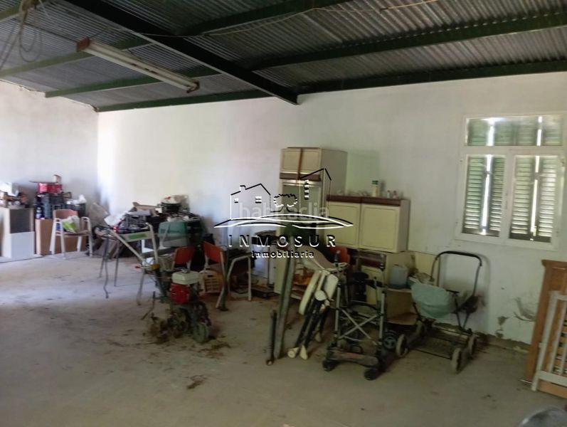 Foto 3a6746ae-11d0-4008-8ead-f9e270cff732. Finca rústica a Centro Lucena