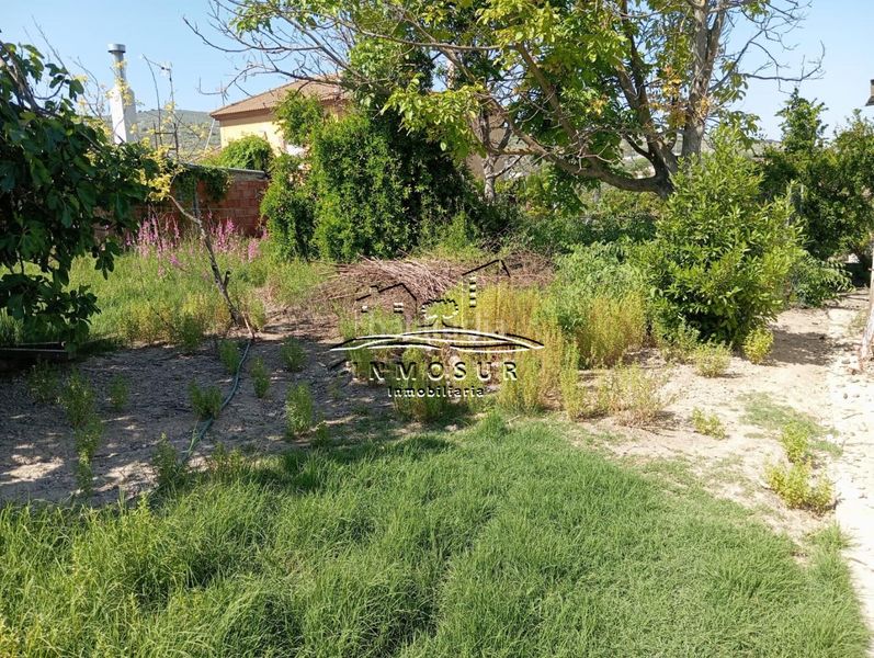 Foto 5a659bcc-4c39-497d-8e65-458c545a2ae6. Finca rústica a Centro Lucena
