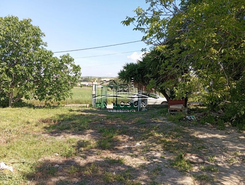 Foto 76f589f9-16e9-4994-9cb5-f43002c7cfc1. Finca rústica a Centro Lucena