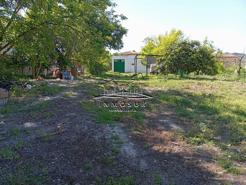 Foto 98a86290-1dbc-4861-b599-0c69d489815a. Finca rústica a Centro Lucena