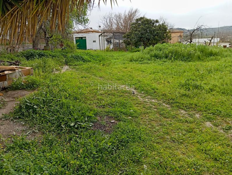 Foto e62e5e76-c55c-48bc-9425-a9a13d027c6a. Finca rústica a Centro Lucena