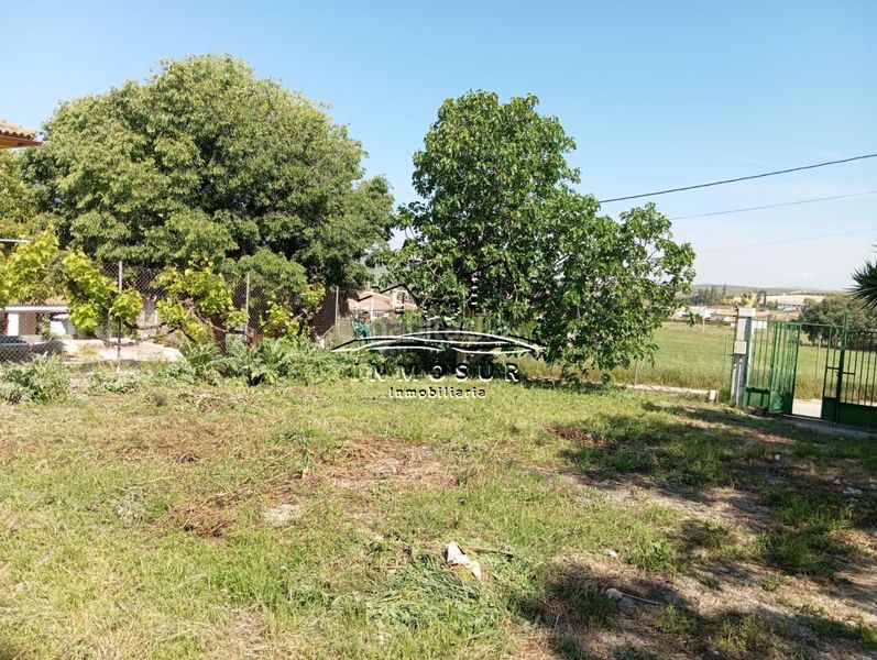 Foto fa83a503-5d13-4ef1-a70e-bc42194f5473. Finca rústica a Centro Lucena