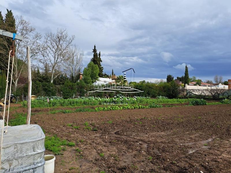 Foto 46a8bd76-6cff-4d9e-98d2-a1481af5b0ff. Terreny residencial a Las Vegas - Campoaras Lucena