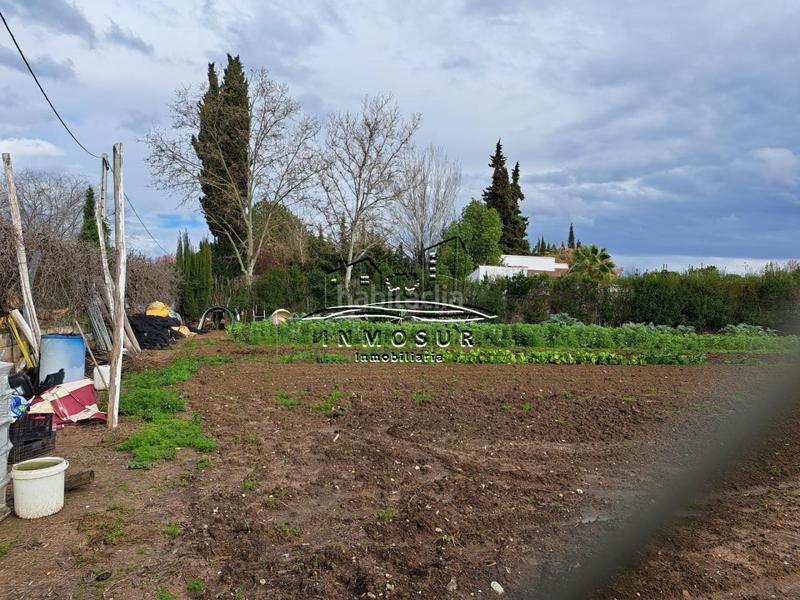 Foto 6ed3fbb1-31a2-4a03-9039-cf4f93891f8b. Terreny residencial a Las Vegas - Campoaras Lucena